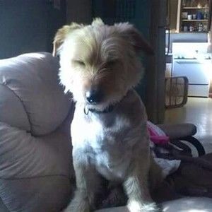 Meet your Posher, Jimmy